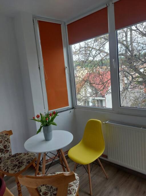 Apartament Spatios In Braszów Zewnętrze zdjęcie