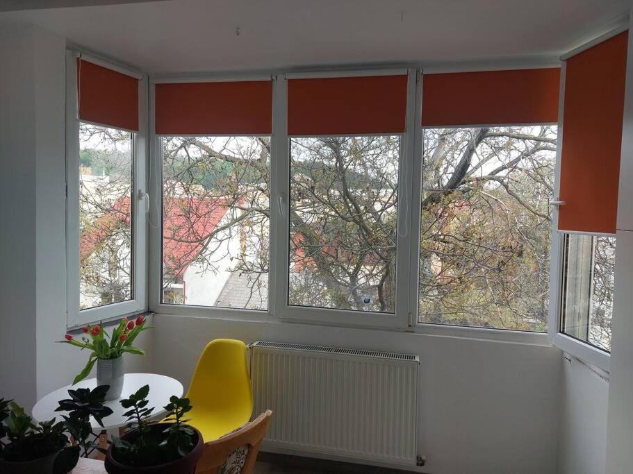 Apartament Spatios In Braszów Zewnętrze zdjęcie